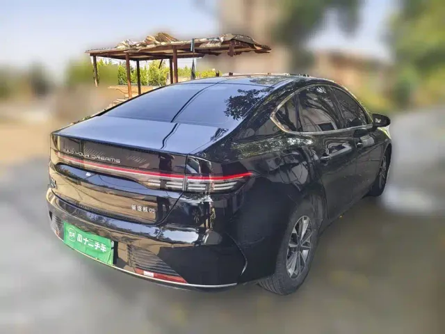 BYD Destroyer 05 — Фото автомобиля 4