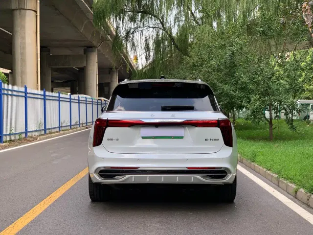 Hongqi E-HS9 — Фото автомобиля 4
