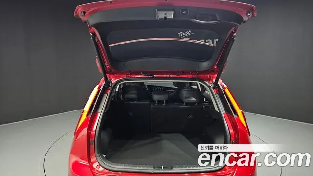Kia Niro All Niro EV Earth — Фото автомобиля 19