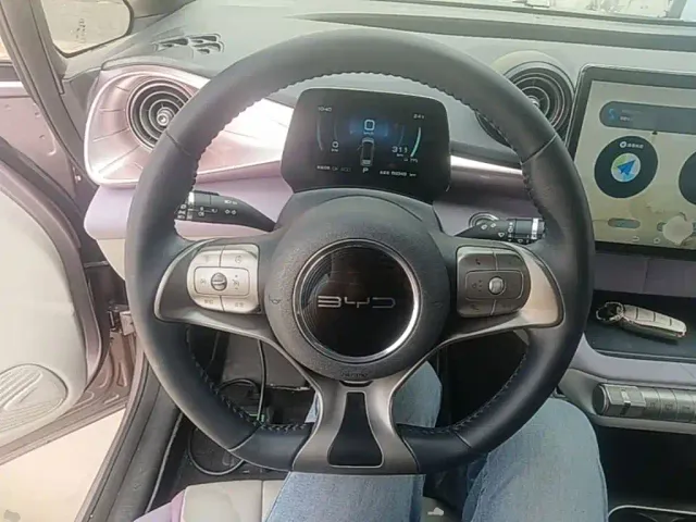 BYD Dolphin — Фото автомобиля 10