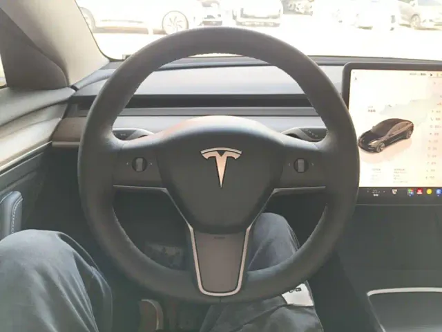 Tesla Model 3 — Фото автомобиля 10