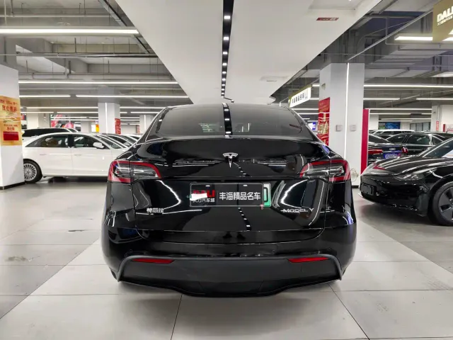 Tesla Model Y — Фото автомобиля 13