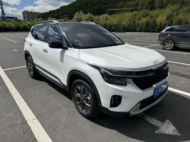 Kia Seltos — Фото автомобиля 3