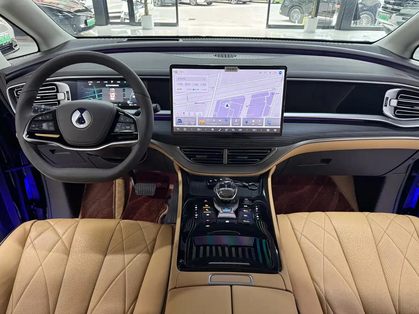 Denza Denza D9 2024 DM-i 980 AWD Prestige — Фото автомобиля 6