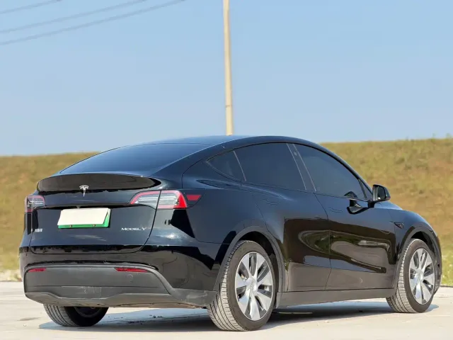 Tesla Model Y — Фото автомобиля 8
