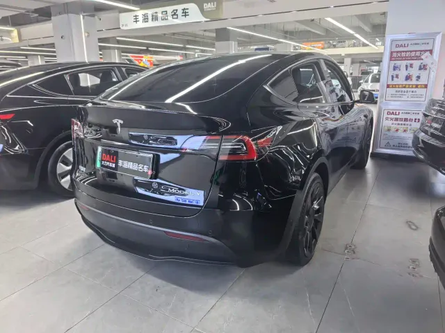 Tesla Model Y — Фото автомобиля 10