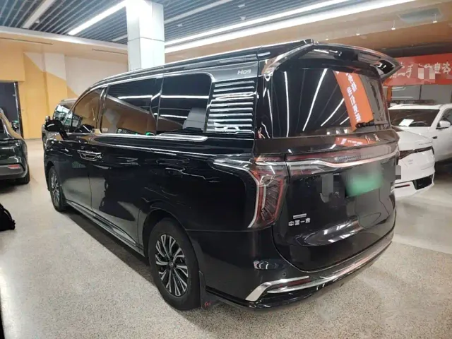 Hongqi Hongqi HQ9 PHEV 2024 Model 2.0T AWD Business Edition — Фото автомобиля 22