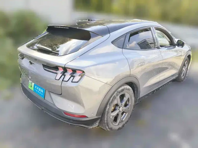 Ford Mustang Mach-E — Фото автомобиля 5