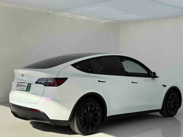 Tesla Model Y — Фото автомобиля 13