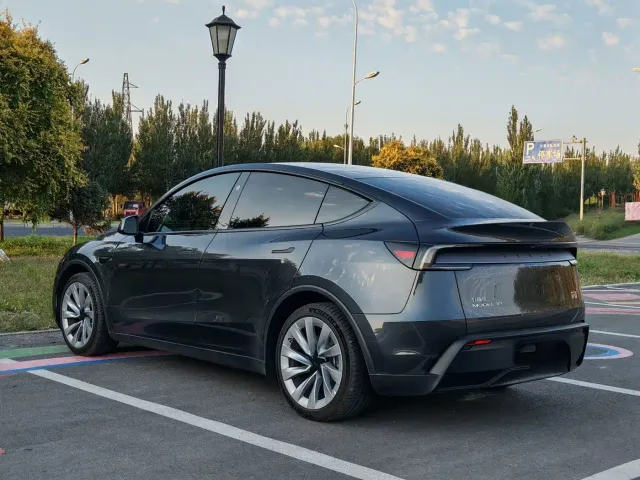 Tesla Model Y 2025 Model Long Range All-Wheel Drive Launch Edition — Фото автомобиля 4