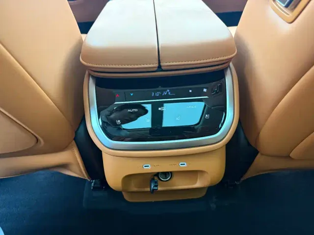 Wey Lanshan — Фото автомобиля 11