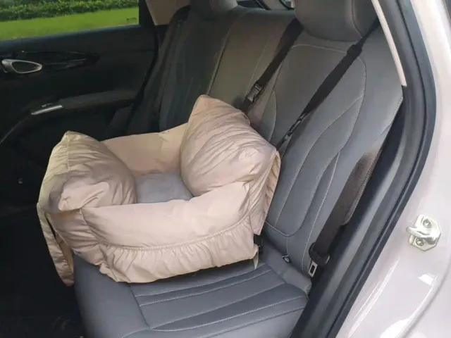Geely Starry Wish — Фото автомобиля 13