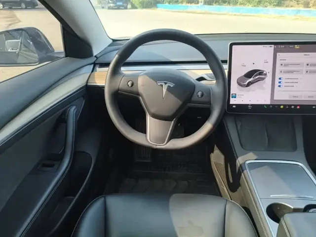Tesla Model 3 — Фото автомобиля 10