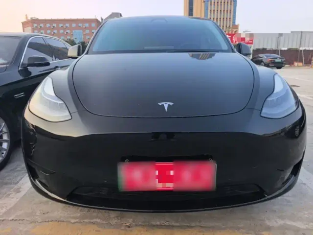 Tesla Model Y — Фото автомобиля 2