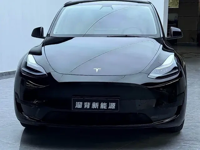Tesla Model Y — Фото автомобиля 3