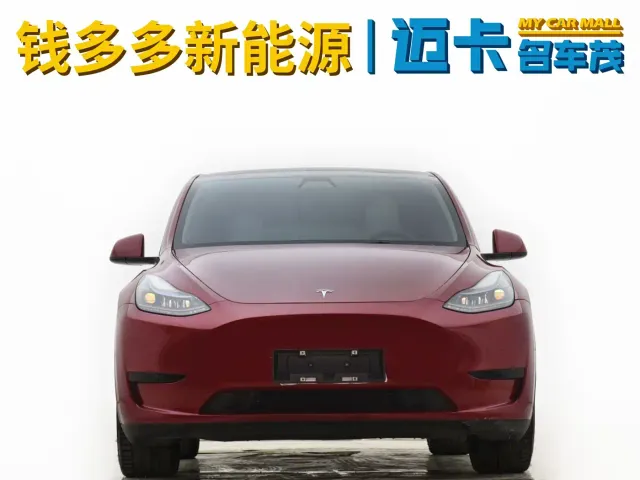 Tesla Model Y — Фото автомобиля 2