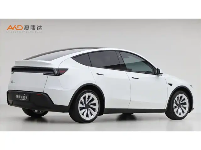 Tesla Model Y — Фото автомобиля 3