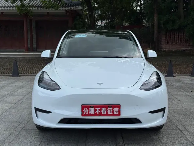 Tesla Model Y — Фото автомобиля 2