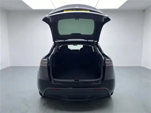 Tesla Model Y — Фото автомобиля 10