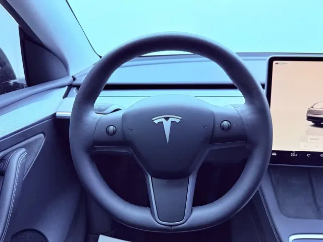 Tesla Model Y — Фото автомобиля 11