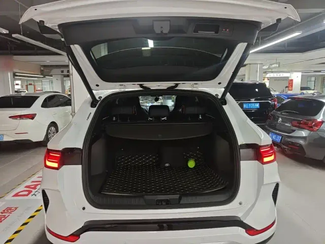 BYD Song PLUS — Фото автомобиля 18