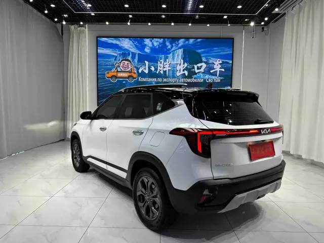 Kia Seltos — Фото автомобиля 6