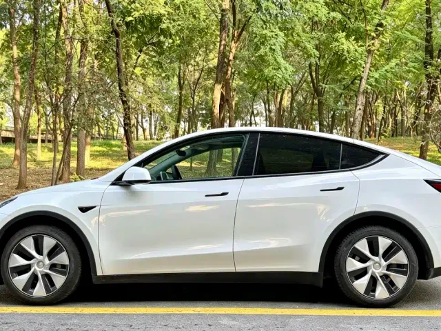 Tesla Model Y — Фото автомобиля 3