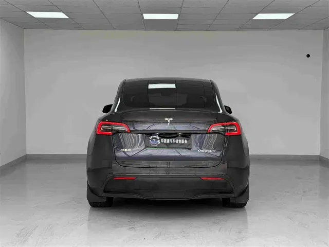 Tesla Model Y — Фото автомобиля 17