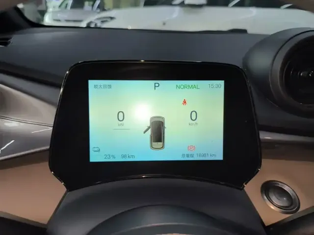 BYD Dolphin 2024 Glory Edition 420km Freedom Edition — Фото автомобиля 11