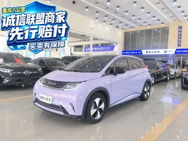 Фотография автомобиля — BYD Dolphin