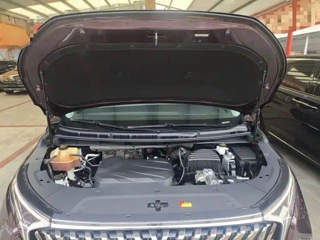 Maxus G90 — Фото автомобиля 19
