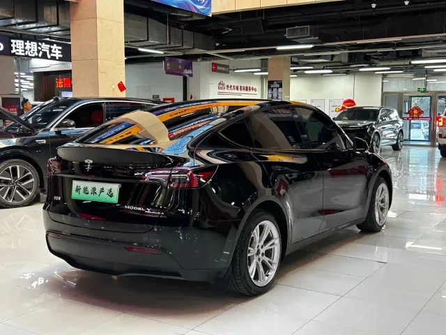 Tesla Model Y — Фото автомобиля 4