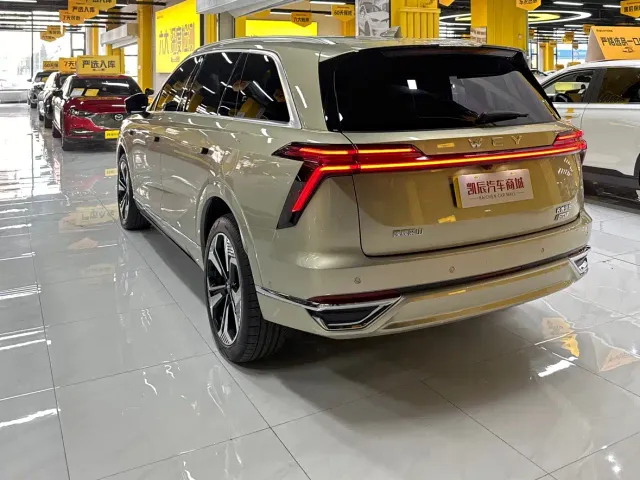 Wey Lanshan — Фото автомобиля 4