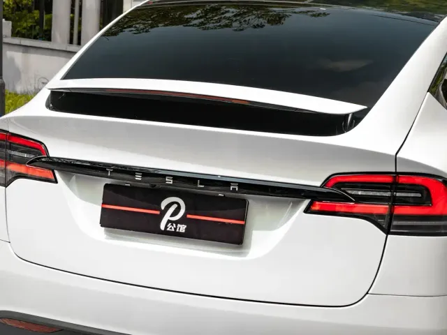 Tesla Model X — Фото автомобиля 9