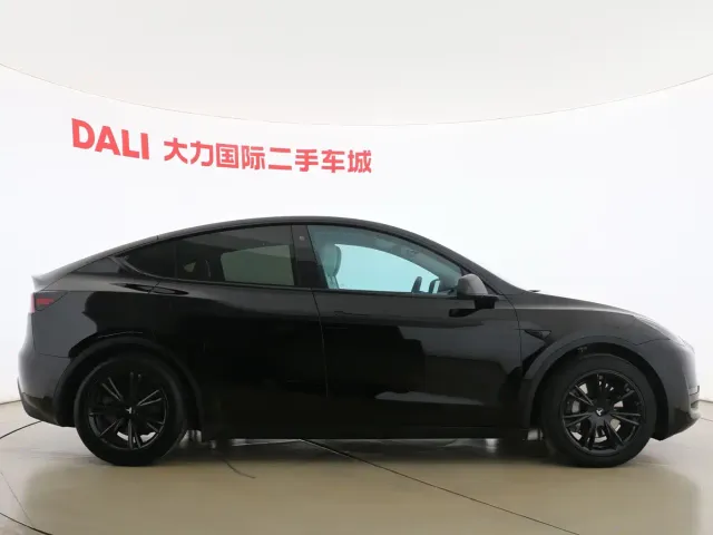 Tesla Model Y — Фото автомобиля 11
