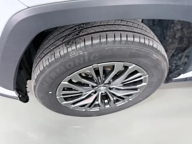 Toyota Wildlander — Фото автомобиля 5