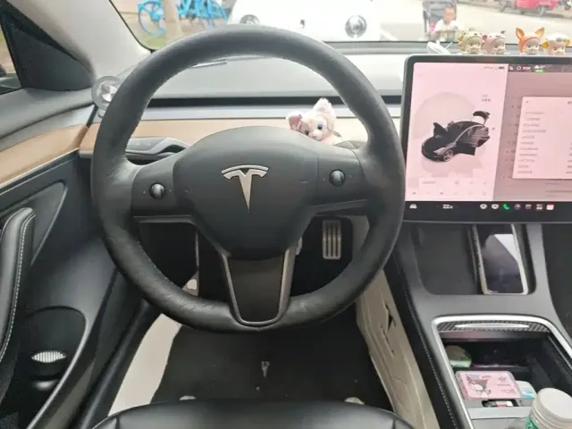 Tesla Model 3 2021 Second Facelift Performance High-Performance AWD Version — Фото автомобиля 2