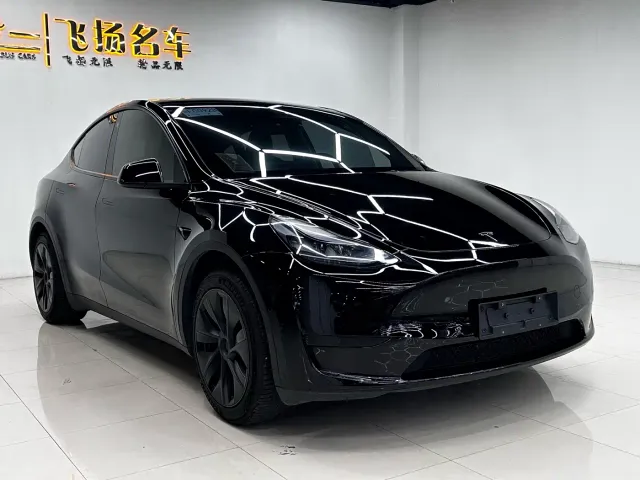 Tesla Model Y — Фото автомобиля 2