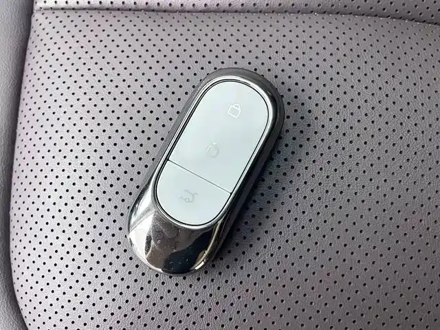 Leapmotor Leapmotor C11 2024 Pure Electric 580 Premium Edition — Фото автомобиля 18