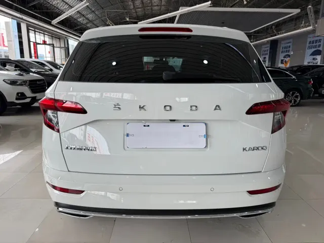 Skoda Karoq — Фото автомобиля 12