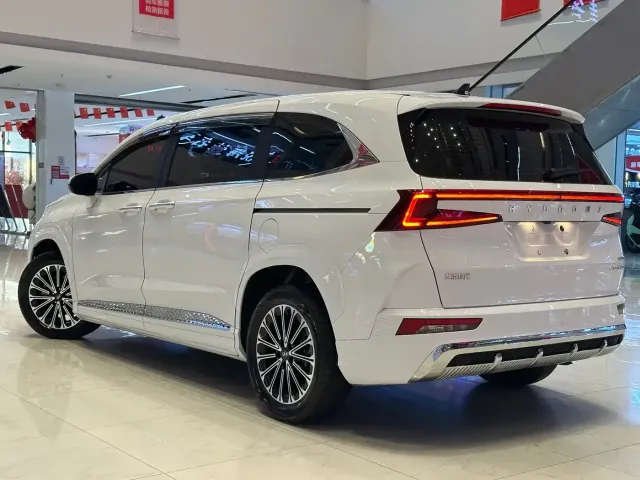 Hyundai Custo — Фото автомобиля 6