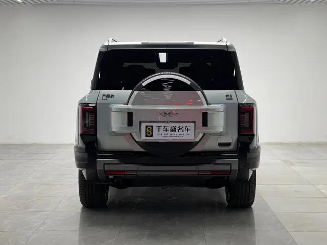 BYD FangChengBao Leopard 8 — Фото автомобиля 5