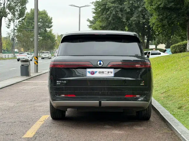 Denza N9 — Фото автомобиля 5