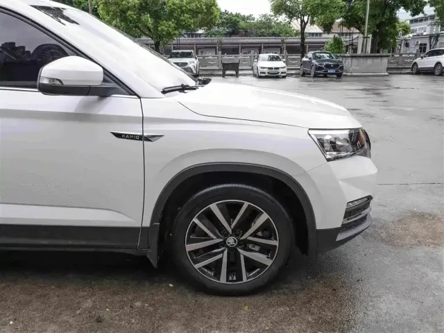Skoda Kamiq — Фото автомобиля 28