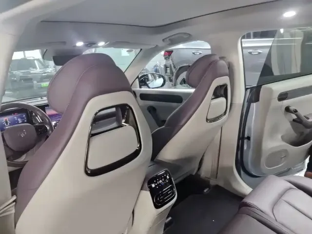 Leapmotor Leapmotor C11 2023 Pure Electric 500 Smart Edition — Фото автомобиля 17