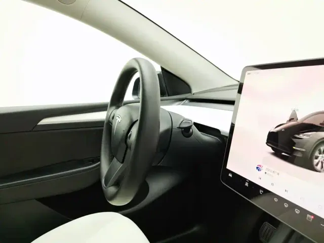 Tesla Model Y — Фото автомобиля 22