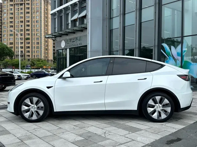 Tesla Model Y — Фото автомобиля 3