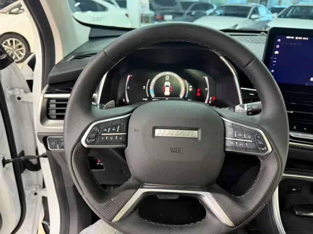 Haval H6 — Фото автомобиля 10