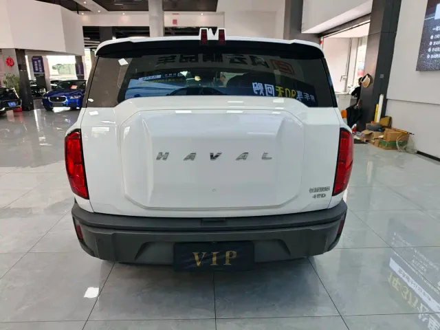 Haval Cool Dog — Фото автомобиля 7
