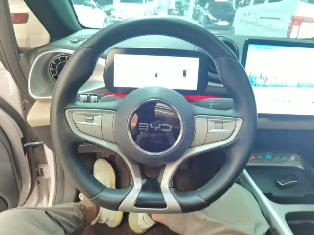 BYD Dolphin — Фото автомобиля 10